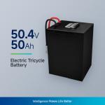 50.4V50Ah E Tricycle Battery Lifepo4 Lithium Battery Pack For Rickshaw And Tuk