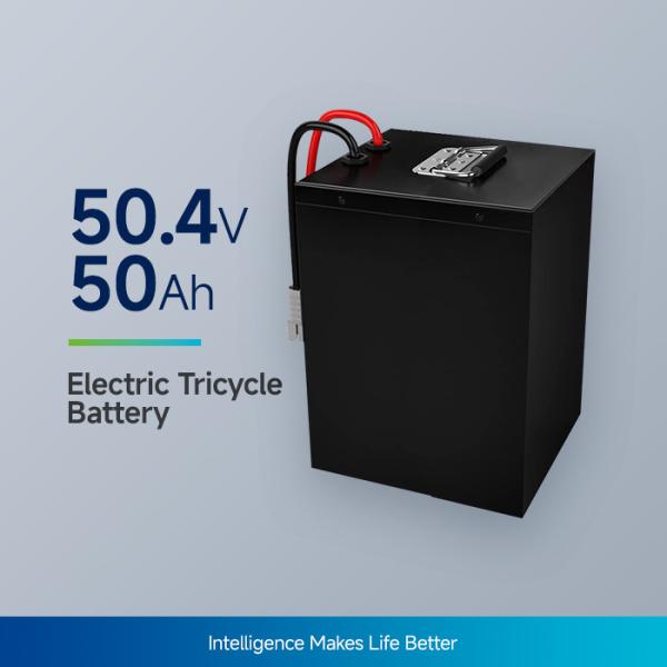 50.4V50Ah E Tricycle Battery Lifepo4 Lithium Battery Pack For Rickshaw And Tuk