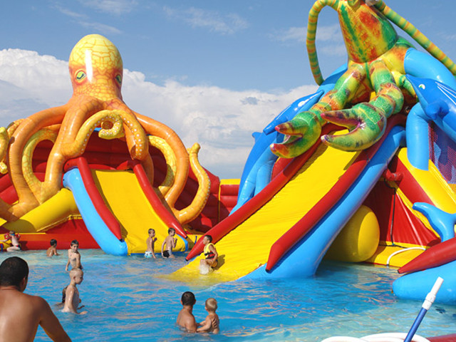 customized giant octopus water park,dolohin animal inflatable water park with big pool toys