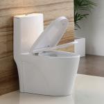 Bathroom Porcelain One Piece Toilet Elongated Sanitary Ware Toilet