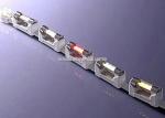 Festoon 24V 5M 5050 RGB Waterproof 300 LED Light Strip IR Remote
