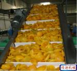 Corrugated Board Belt Conveyor Paper Industry Belt Conveyor for Corrugated Board