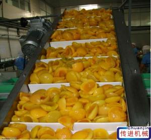 Wholesale CE Electric Motor Incline PU Belt Conveyor for Fresh Fruit from china suppliers