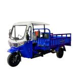 5.0-12 Tire Size DAYANG Heavy Duty Petrol Cargo Cabin Motor Tricycle for Global