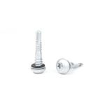 Stainless Steel Self Drilling Sandwich Panel Screw Torx Pan Head 32mm Payment