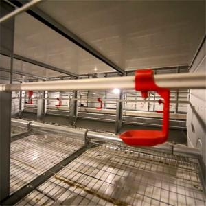 Wholesale Q235 Steel Mesh Wire Breeding Cages High Efficiency Commercial Use Durable from china suppliers