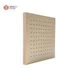 Interior Wall Perforated Acoustic Panel for Hotels and Conference Rooms