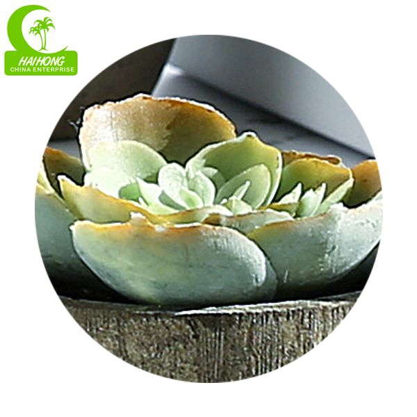 artificial succulents