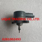BOSCH pressure regulating valve 0281002493 , 0 281 002 493 , 0281 002 493