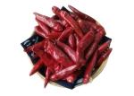 Tientsin Dried Red Chilli Peppers 15000SHU Dehydrated Spicy Red Paprika