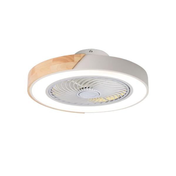 Residential Dimmable Light Ventilador De Teto Decorative Remote Control Acrylic
