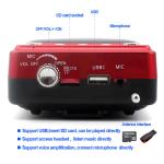Voice Amplifier Rechargeable, with Waist Band & Belt Clip, a Handfree Headset
