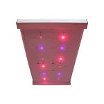 Quantum 2x2 LED Grow Light