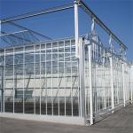 Chinese Agriculture Tempered Glass Greenhouse Venlo Type Galvanized Commercial