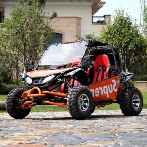 Wholesale 200cc Two Seater Go Kart Single Cylinder / Automatic Go Kart With Reverse from china suppliers