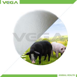 Wholesale Water Soluble Florfenicol Powder 20% from china suppliers