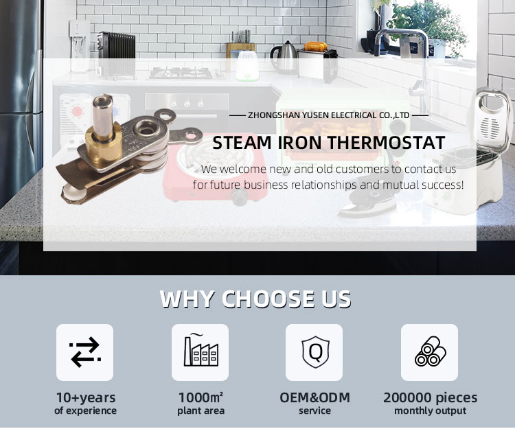 Electric Steam Iron with ES300L Thermostat and Endurance Test Cycle of 000 Times