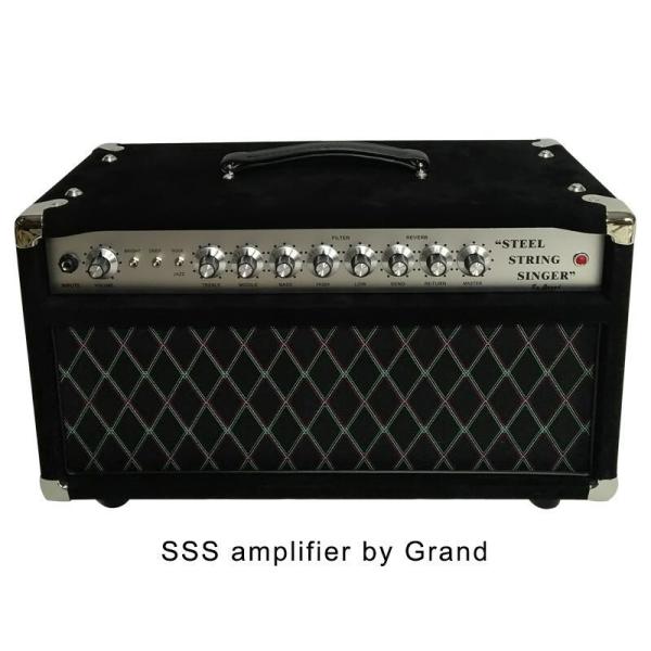 Handwired 1983 Grand Dumble Style Steel String Singer SSS50 Guitar Amplifier 50W