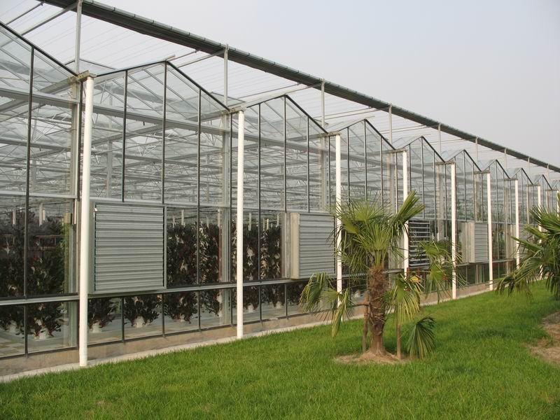 Glass Covered Vertical Hydroponic System for Growing Vegetables Fruits and Flowers