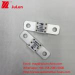 100A 150A 200A 125VDC Battery Fuse In Car Market