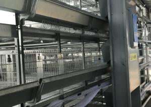 Wholesale Professional 6 Tiers Automatic Poultry Feeder System Used On Chicken Cage from china suppliers