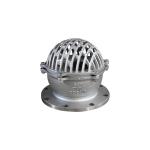 Normal Temperature Flanged Stainless Steel Foot Valve with NPT End Connection