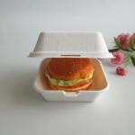 Fruit Hamburger Cake Meal Prep Packaging Food Containers Disposable Bento Box