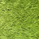 Filling Turf Sports Football Synthetic Grass 50mm Pile Or Size Customized
