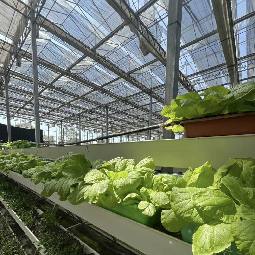 Glass Greenhouse for Hydroponic Flower Growing