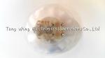 Small Round Shaped Toy Sound Module , sound chips for stuffed animals