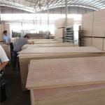 First Class Eculyptus 1250x2500mm Marine Okoume Plywood