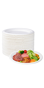 5 Compartment Plates, 125 Pack Disposable Paper Plates, Biodegradable Sugarcane Plates, Eco-Friendly School