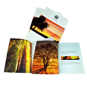 Wholesale Uprint Brochure Catalogue Printing , Leaflet Pamphlet Printing Services from china suppliers