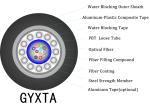Gel Filled 12 Core Single Mode Armoured Fiber Optic Cable GYXTA