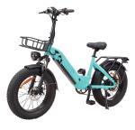 Kids 20 Inch Electric Fat Tire Bike Hidden Battery 48V 500W Step Through Fat