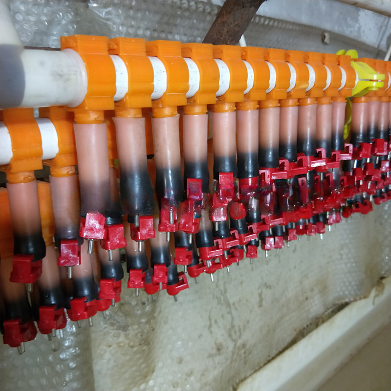 New Type Poultry Feeder Pan Automatic Broiler Pan Feeding Line System Equipment