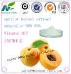 direct manufacturer bitter apricot seed amygdalin powder vitamin b17