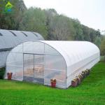 Plastic PE Film Low Tunnel Poly House Agricultural Greenhouse For Tomato