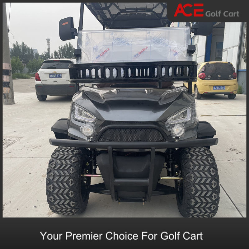 Plastic Cover Golf Club Cart Customized Electric 6 Seater Golf Buggy