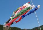Customized Japanese Fish Windsock Polyester Satin Decorative Outdoor 100cm