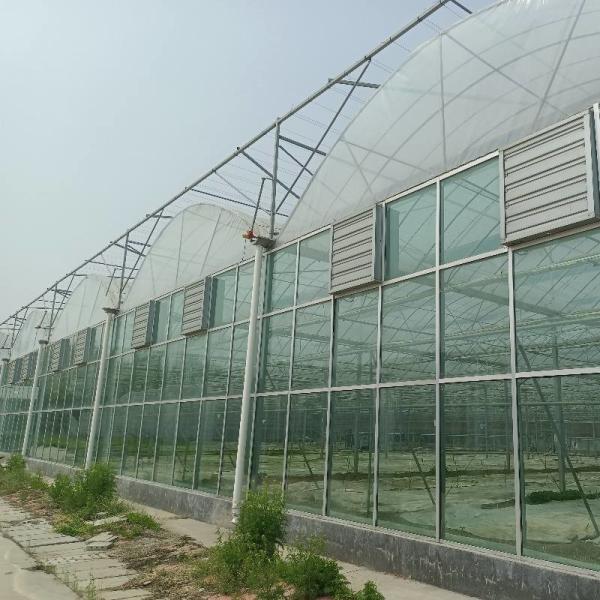 Modular Agricultural Greenhouse For Sale Dome Roof Cover Film Side Cover Multi