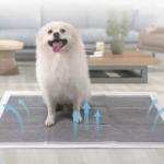 Non-woven Fabric Bamboo Fiber Carbon Charcoal Pet Underpad Training Pad 60*90