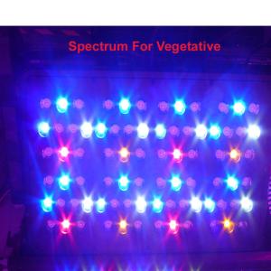 Wholesale Super power 5w leds grow light 400w(80*5w) for indoor garden,hydroponic,flower growing from china suppliers
