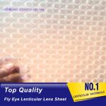 PLASTIC LENTICULAR high quality microlens film sheet 360 3d effect microlens