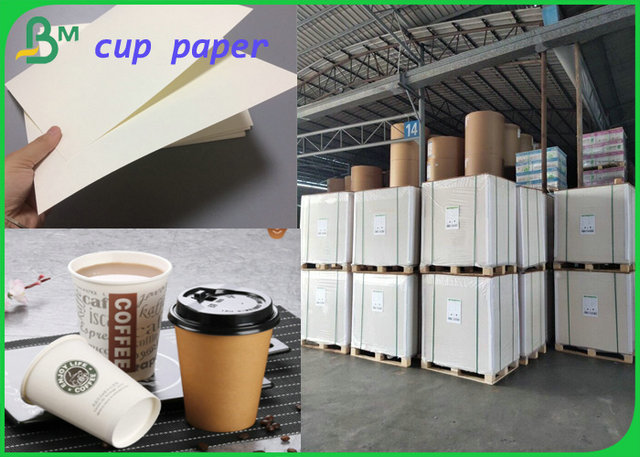 150gsm to 350gsm Cup base Paper Roll Food Grade Quality 30mm 40mm Width 