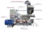 manufacture price automatic screw oil press machine for rapeseed