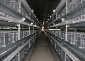 Wholesale Wire Design Chicken Poultry Cage , Chick Rearing Cage Less Than 0.05% Egg Broken Rate from china suppliers