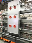 Poultry Broiler Cage Equipment Automatic H Type Broiler Cage
