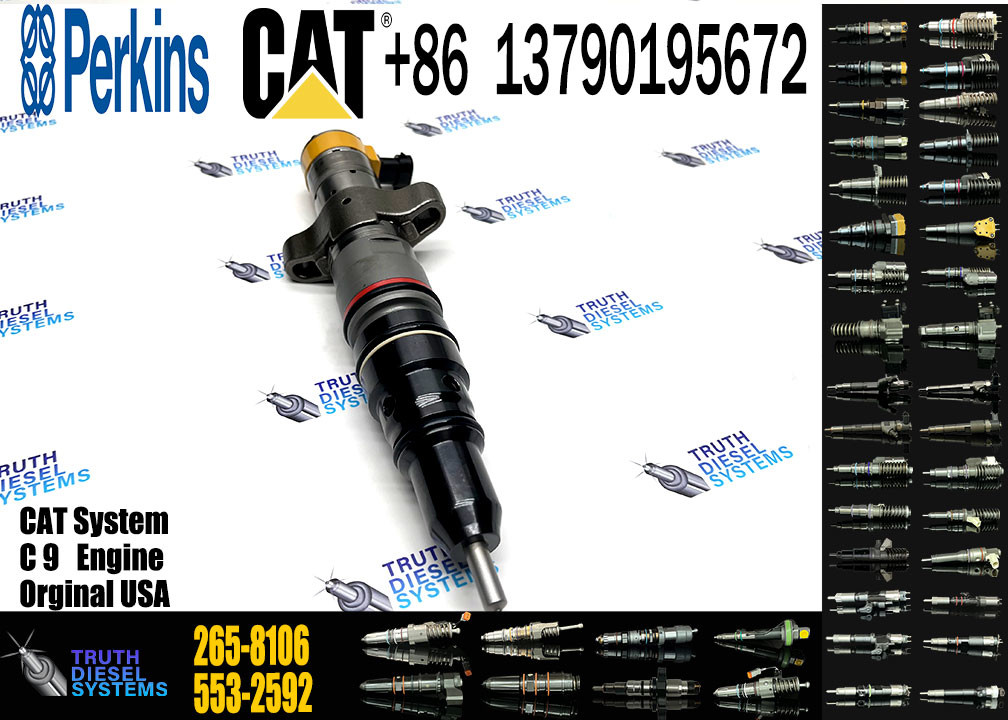 Common Rail Fuel Injector 265-8106 265-8106 267-3361 387-9435 53L-8062 387-9437 387-9438 328-2577 20R-9433 For CAT C9