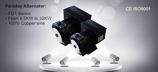 2 Pole Brushless Alternator 17.5kVA/14kw Double Bearings AC Generator 3600rpm (FD1C-2)